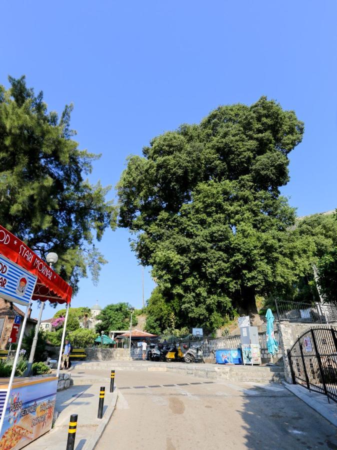Smjestaj Djurdjevic Daire Herceg Novi Dış mekan fotoğraf